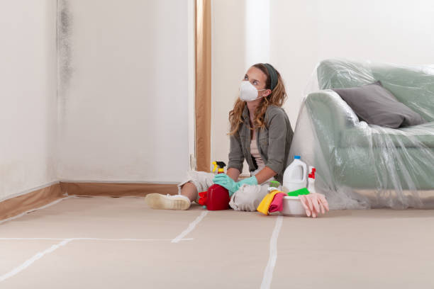 Reliable Mold Inspection And Testing contractor in Silverdale, WA by Mold Remediation HQ